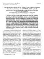 Dual modification of BMAL1 by SUMO2/3 and ubiquitin promotes circadian activation of the CLOCK/BMAL1 complex