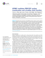 KPNB1 mediates PER/CRY nuclear translocation and circadian clock function