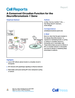 A Conserved Circadian Function for the Neurofibromatosis 1 Gene