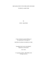 Mechanization in the cider apple orchard to reduce labor time