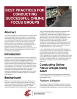 Best practices for conducting successful online focus groups