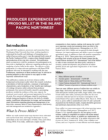 Producer experiences with proso millet in the Inland Pacific Northwest