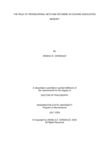THE ROLE OF PERINEURONAL NETS AND KETAMINE IN COCAINE-ASSOCIATED MEMORY