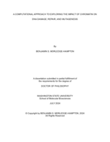 A COMPUTATIONAL APPROACH TO EXPLORING THE IMPACT OF CHROMATIN ON DNA DAMAGE, REPAIR, AND MUTAGENESIS