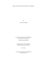 Regulation of MACERATOR during Cytokinesis