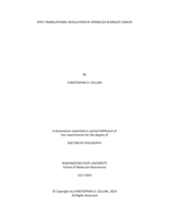 Post-translational regulation of APOBEC3A in breast cancer