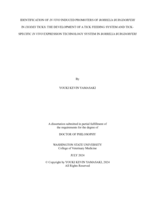 IDENTIFICATION OF IN VIVO INDUCED PROMOTERS OF BORRELIA BURGDORFERI IN IXODES TICKS: THE DEVELOPMENT OF A TICK FEEDING SYSTEM AND TICK-SPECIFIC IN VIVO EXPRESSION TECHNOLOGY SYSTEM IN BORRELIA BURGDORFERI