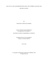 DOG CYP1A2: RELATIONSHIP BETWEEN GENE COPY NUMBER VARIATION AND PROTEIN CONTENT
