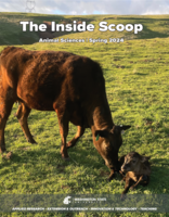 The Inside Scoop, Spring 2024