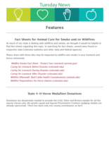 Tuesday News, August 13, 2024