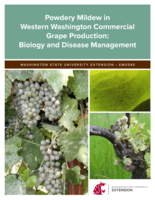 Powdery mildew in western Washington commercial grape production: biology and disease management