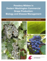 Powdery mildew in eastern Washington commercial grape production: biology and disease management
