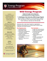 WSU Energy Program: national leader and catalyst for creating powerful energy solutions