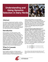 Understanding and using genomic selection in dairy herds