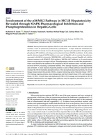 Involvement of the p38/MK2 Pathway in MCLR Hepatotoxicity Revealed through MAPK Pharmacological Inhibition and Phosphoproteomics in HepaRG Cells