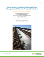 The Economic Feasibility of Adopting Plastic Biodegradable Mulches in Pumpkin Production