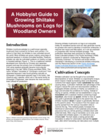 A hobbyist guide to growing shitake mushrooms on logs for woodland owners