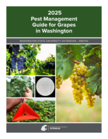 2025 pest management guide for grapes in Washington
