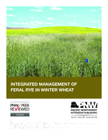Integrated management of feral rye in winter wheat