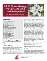 WA 38 Flower Biology, Fruit Set, and Crop Load Management: WA 38: Best Management Practices