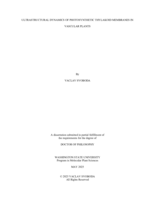 ULTRASTRUCTURAL DYNAMICS OF PHOTOSYNTHETIC THYLAKOID MEMBRANES IN VASCULAR PLANTS