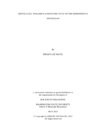 SERTOLI CELL DYNAMICS ACROSS THE CYCLE OF THE SEMINIFEROUS EPITHELIUM