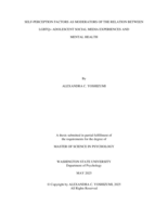 Self-Perception Factors as Moderators of the Relation Between LGBTQ+ Adolescent Social Media Experiences and Mental Health