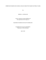 STRIPE RUST RESISTANCE GENES AND QTL FROM TWO PAKISTANI WHEAT LINES