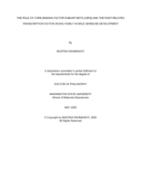 THE ROLE OF CORE-BINDING FACTOR SUBUNIT BETA (CBFβ) AND THE RUNT-RELATED TRANSCRIPTION FACTOR (RUNX) FAMILY IN MALE GERMLINE DEVELOPMENT