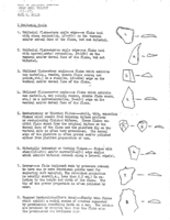 Cedar Mesa Project Lithic Artifact Types, 1973-1974