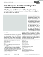 Effect of Phosphorus Modulation in Iron Single-Atom Catalysts for Peroxidase Mimicking