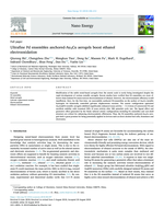 Ultrafine Pd ensembles anchored-Au2Cu aerogels boost ethanol electrooxidation