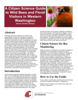 A citizen science guide to wild bees and floral visitors in Western Washington