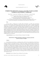 TÜRKİYE'DE KESTANE (Castanea sativa Mill.) VE KULLANIMI ÜZERİNE GELENEKSEL TERİMLER