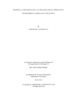 FIGHTING AT THE MESO-LEVEL?: AN ORGANIZATIONAL APPROACH TO ENVIRONMENTAL INEQUALITY AND JUSTICE