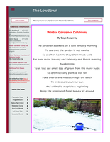 Lowdown, February 2024