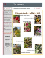 Lowdown, September 2024