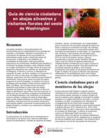 Guía de ciencia ciudadana en abejas silvestres y visitantes florales del oeste de Washington