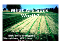 What are soils worth?