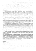 A Multiscale LSTM-Based Framework for Predicting Human Thermophysiological Responses in Extreme Sports Environments: Footwear Analysis