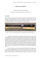 Studies of the Torpedo Bat