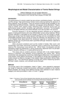 Morphological and Modal Characterization of Tennis Racket Strings