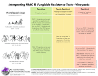 Interpreting FRAC 11 Fungicide Resistance Tests - Vineyards
