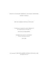 ESSAYS ON ECONOMIC RESILIENCE AND POLICY RESPONSES DURING COVID-19