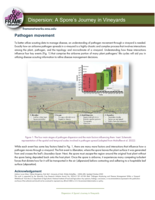 Dispersion: A Spore’s Journey in Vineyards