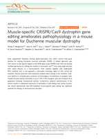 Muscle-specific CRISPR/Cas9 dystrophin gene editing ameliorates pathophysiology in a mouse model for Duchenne muscular dystrophy
