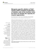 Myogenic-specific ablation of Fgfr1 impairs FGF2-mediated proliferation of satellite cells at the myofiber niche but does not abolish the capacity for muscle regeneration