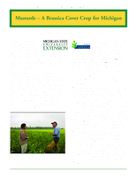 Mustards--a brassica cover crop for Michigan
