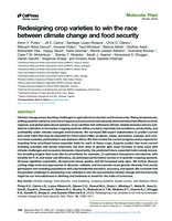 Redesigning crop varieties to win the race between climate change and food security